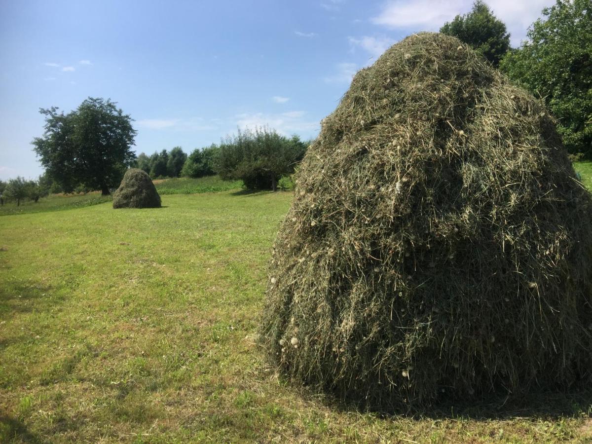 Vila Dom Pod Orzechem Łapczyce Exteriér fotografie